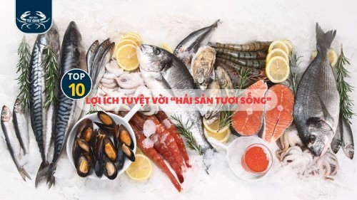 Top 10 lợi ích tuyệt vời của Hải sản tươi sống cho sức khỏe và đời sống hàng ngày
