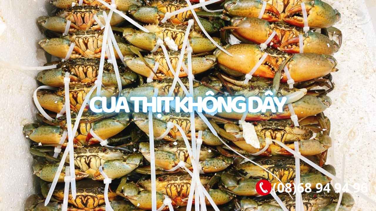 1kg Cua Cà Mau Không Dây Được Mấy Con? Bảng Size Cua và Giá Chuẩn Nhất 2026