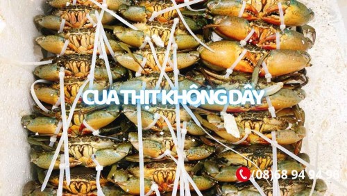 1kg Cua Cà Mau Không Dây Được Mấy Con? Bảng Size Cua và Giá Chuẩn Nhất 2026