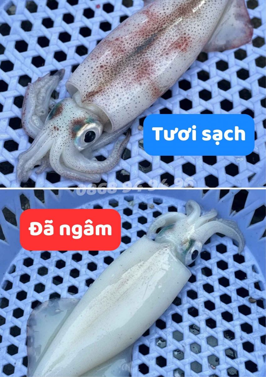 3-giay-se-biet-muc-tuoi-hay-ngam