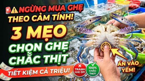 Ngừng mua ghẹ theo cảm tính, áp dụng 3 mẹo này 1 năm bạn tiết kiệm cả triệu tiền hải sản ốp