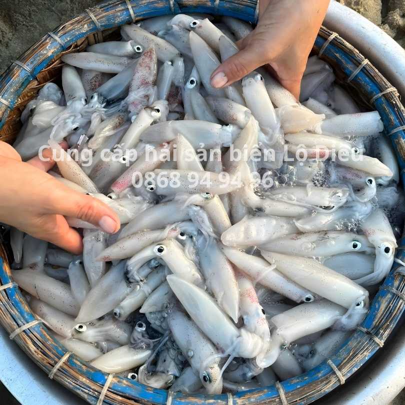 Ca-muc-tuoi-sach-bien-lo-dieu-hoai-nhon