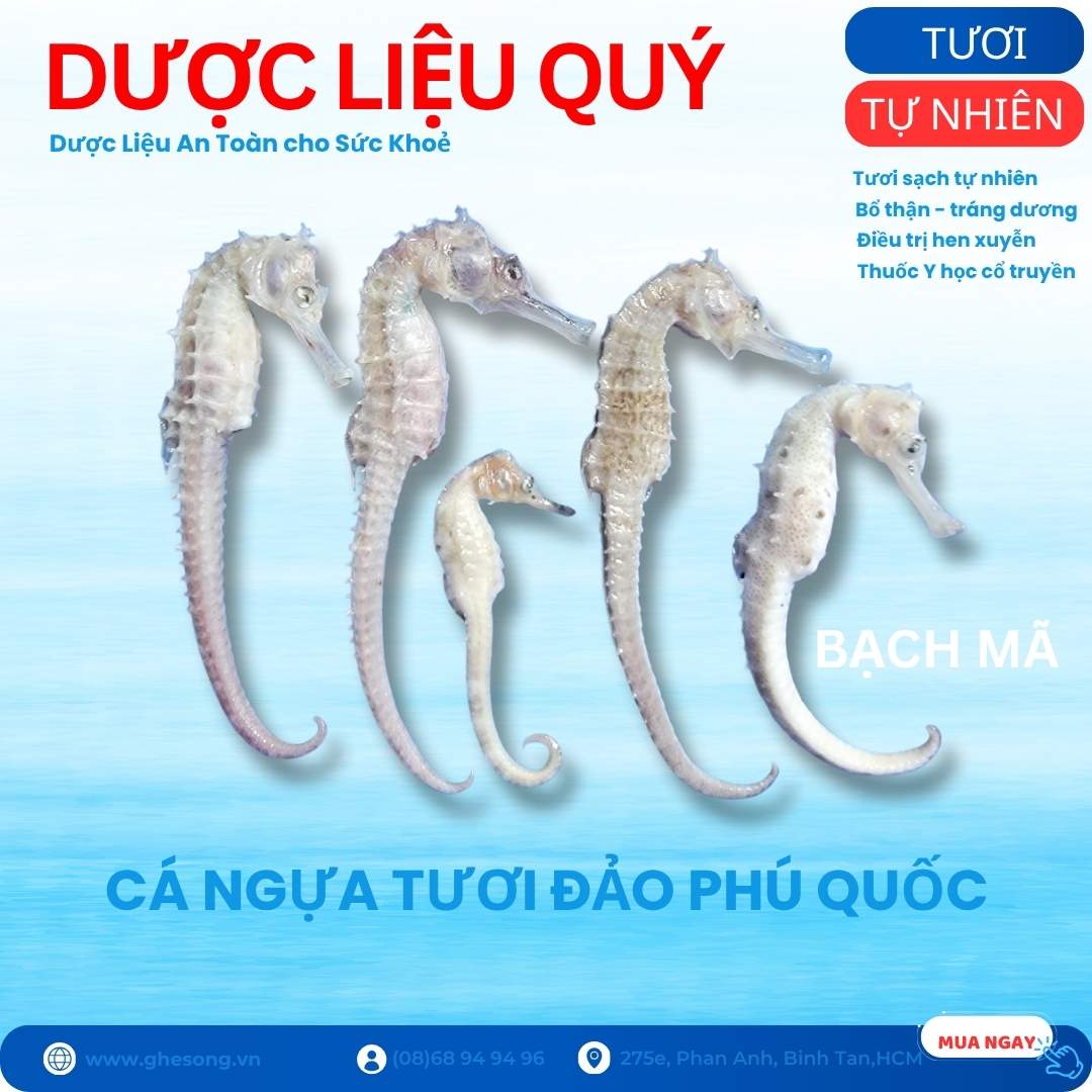 Ca-ngua-tuoi-hom-nay Ca-ngua-tuoi-hom-nay