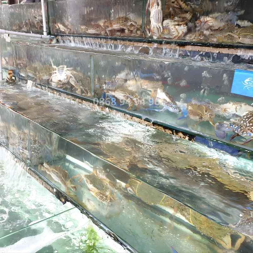 Chuyen-ghe-song-gia-tot-tai-hcm-2026-tu-ghe