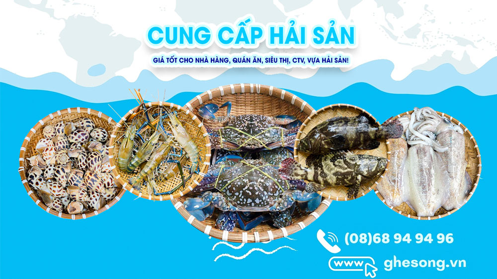 Cửa hàng cung cấp hải sản tươi sống uy tín, Chất lượng tại Tphcm