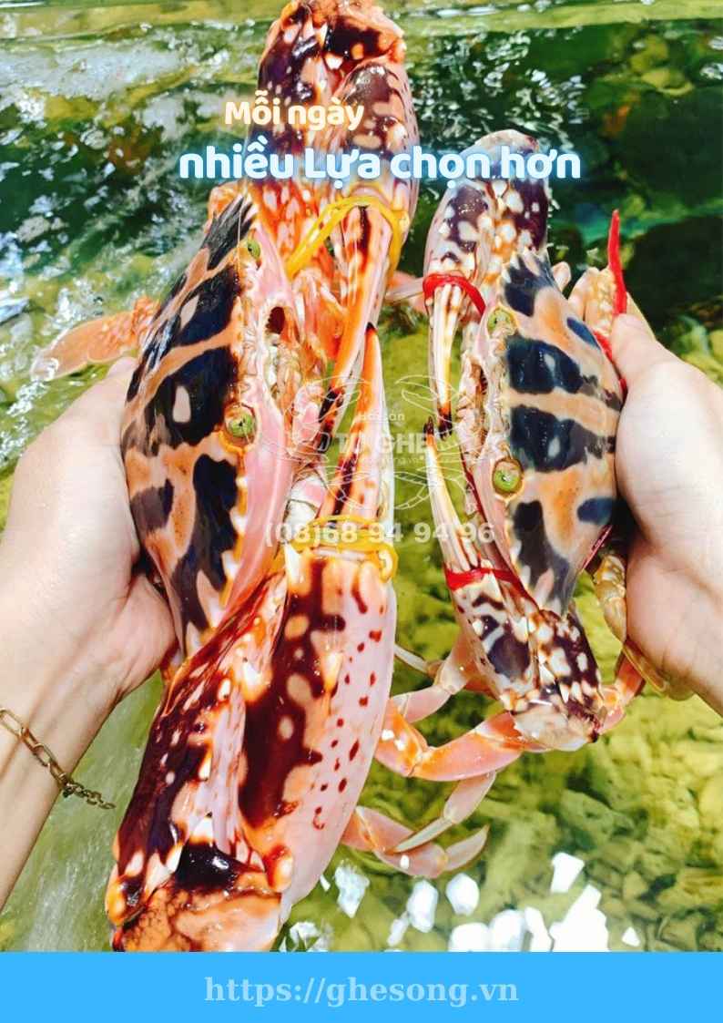 Ghe-bong-song-nhieu-lua-chon-hon Ghe-bong-song-nhieu-lua-chon-hon