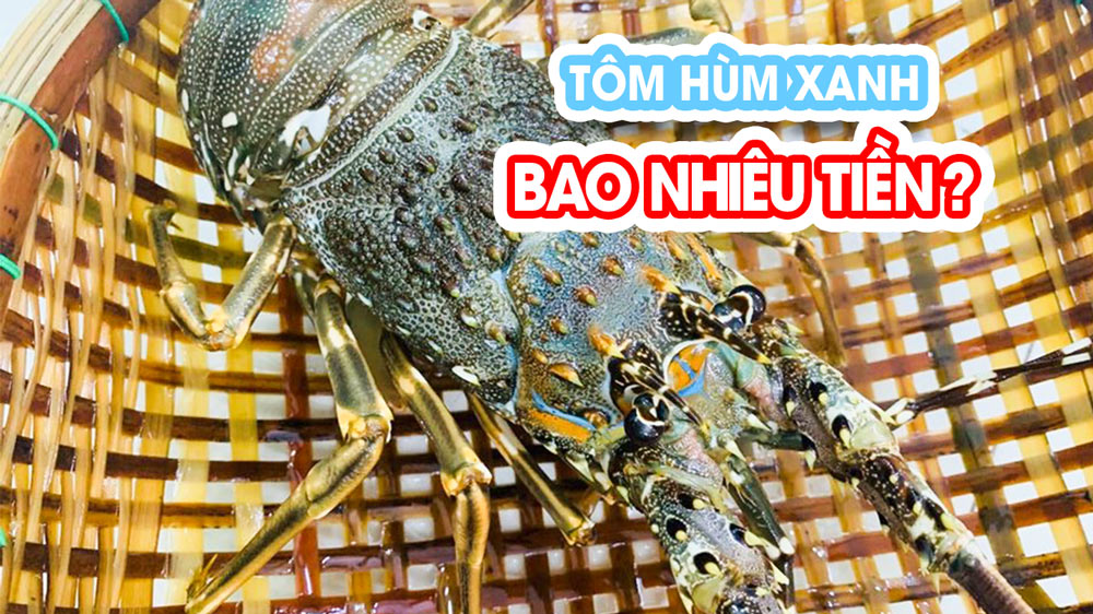 Giá tôm hùm xanh sống tại Tphcm bao nhiêu tiền 1 KG ?