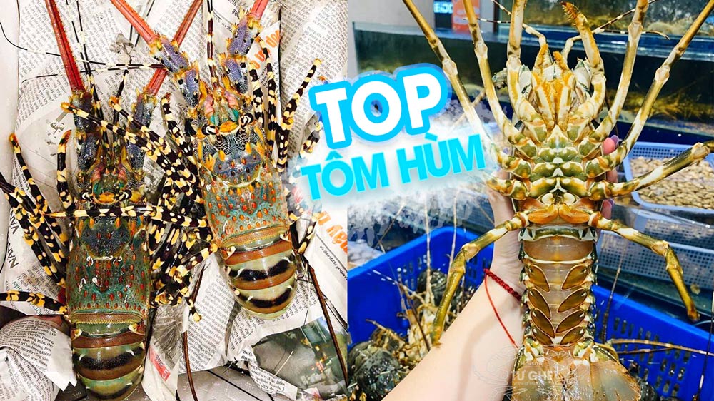 Top 6 loại tôm hùm ngon nhất, Giá các loại tôm hùm hiện nay?