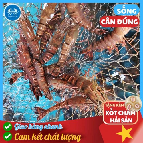 Tôm Sú Sinh Thái Cà Mau, Tươi Sống Đang Bơi, Size 28-32 con/KG, Giao Nhanh 1H
