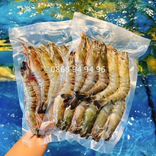 Tôm sú lớn 20-25con Cấp đông, đóng gói tiện lợi Tươi