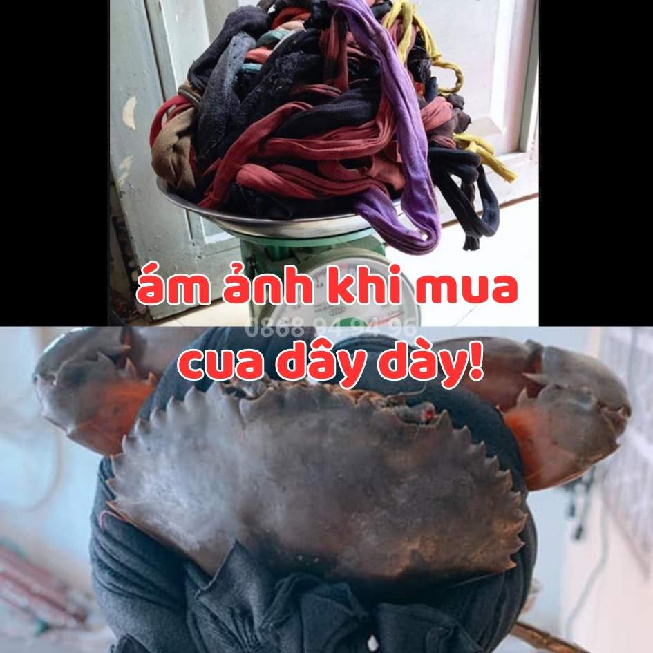 am-anh-khi-mua-cua-day-da