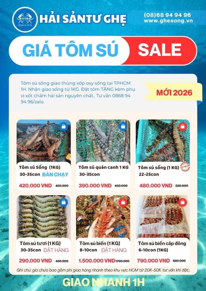 ban-gia-tom-su-moi-nhat-2026 ban-gia-tom-su-moi-nhat-2026