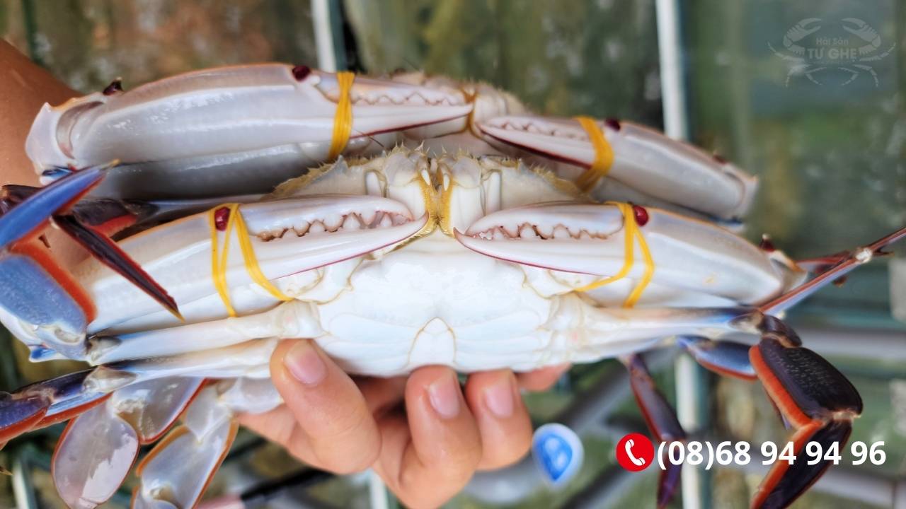 bang-gia-ghe-ba-cham-cac-size