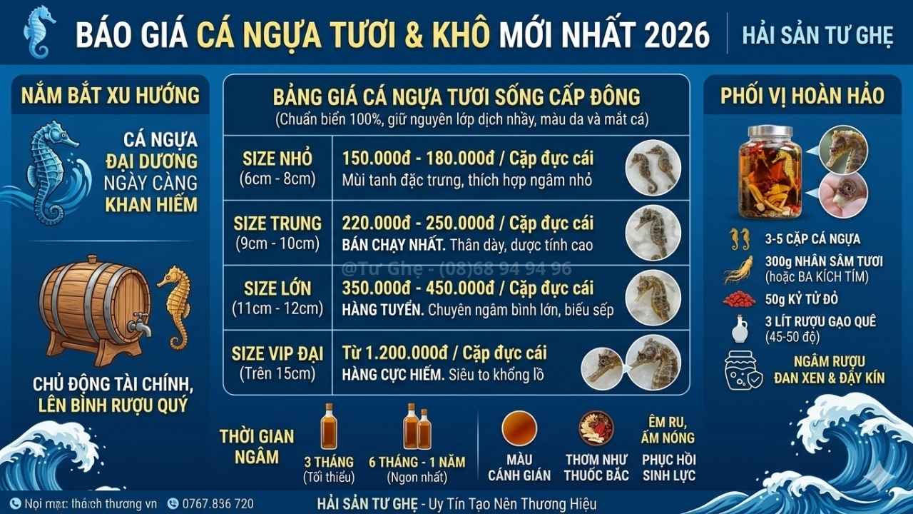 bao-gia-ca-ngua-hom-nay