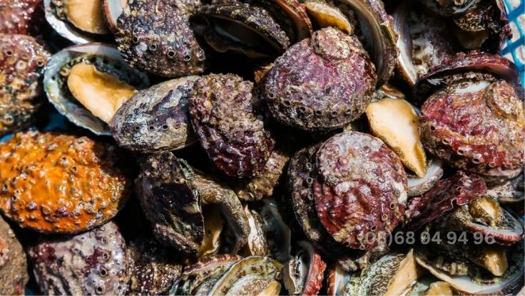 bao-ngu-bach-long-vy