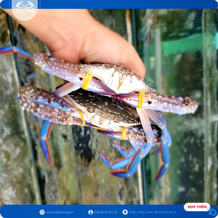 bao-quan-ghe-tai-nha