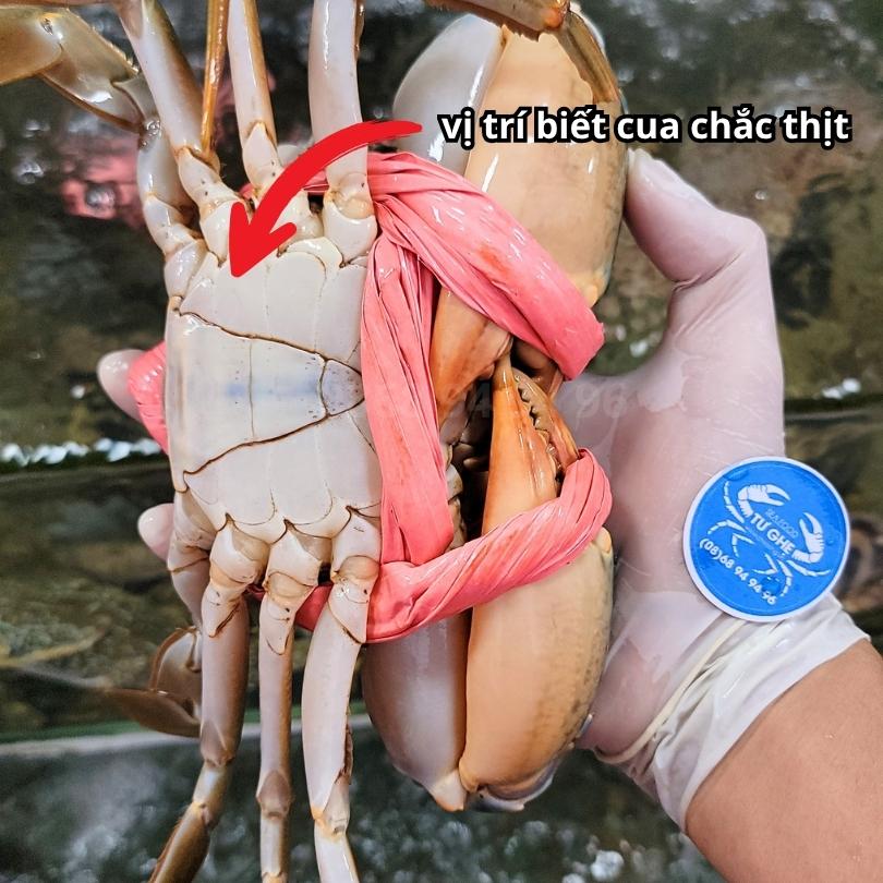 bi-quyet-kiem-tra-da-non-khuyu-cang-chon-cua-thit-ca-mau-day-thit