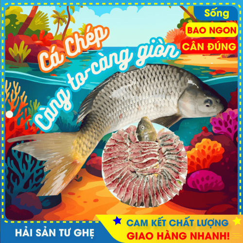 Cá Chép Giòn Sống Con Lớn (KG)