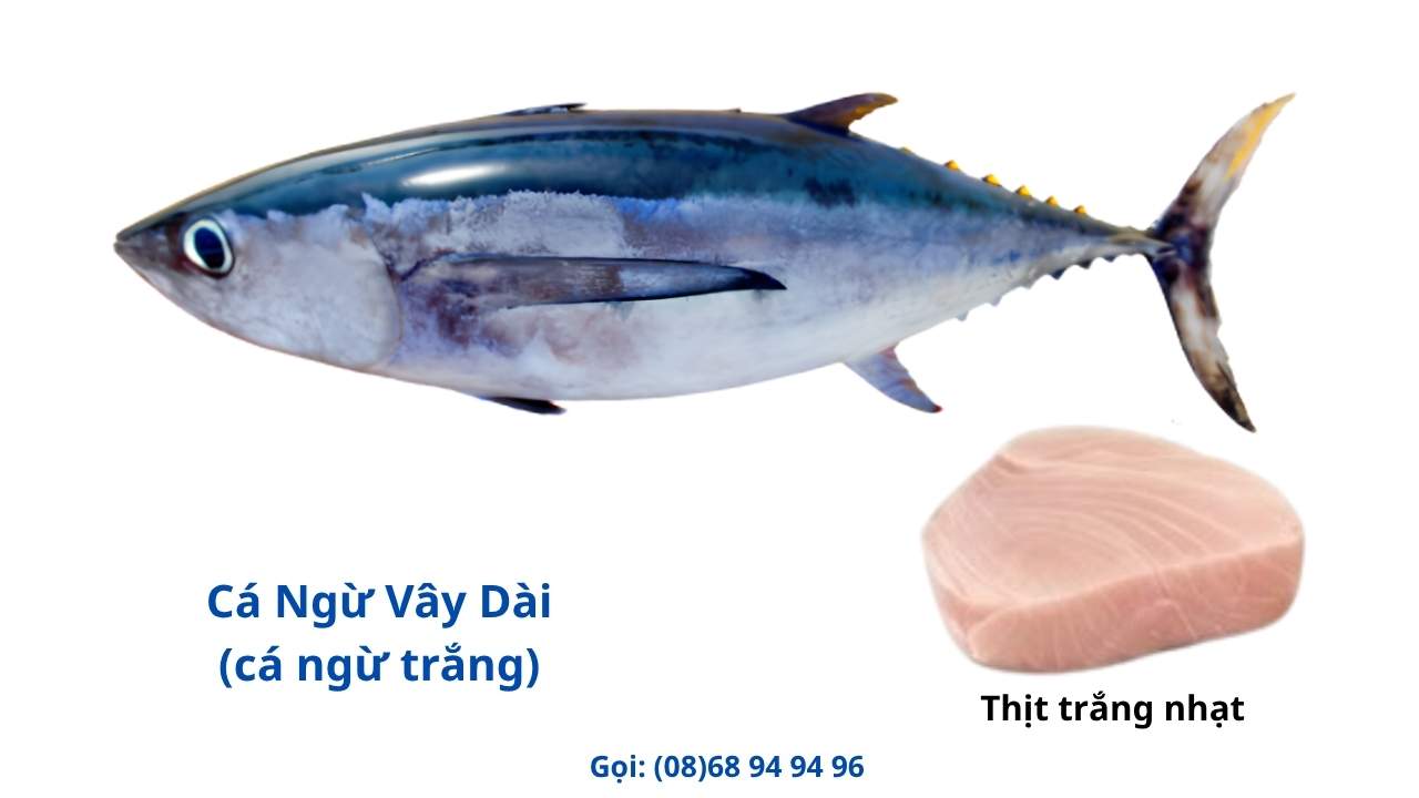 ca-ngu-vay-dai-ca-ngu-trang-gia-re ca-ngu-vay-dai-ca-ngu-trang