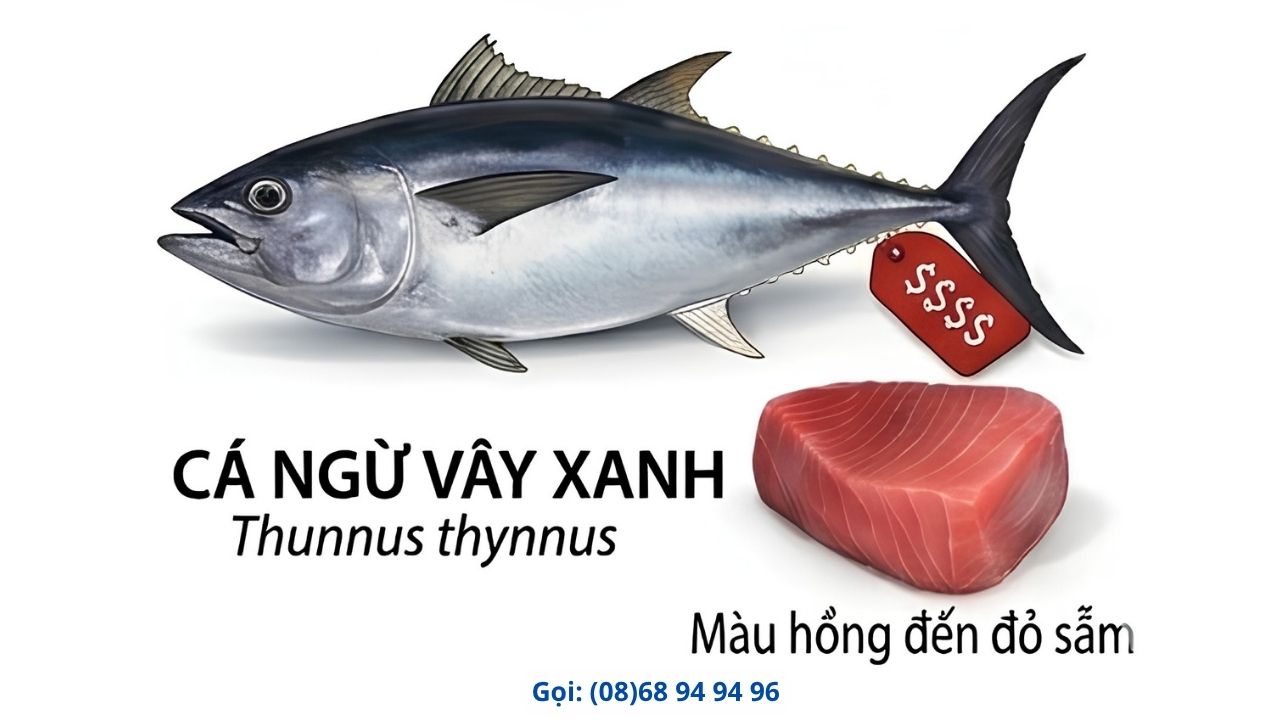ca-ngu-vay-xanh