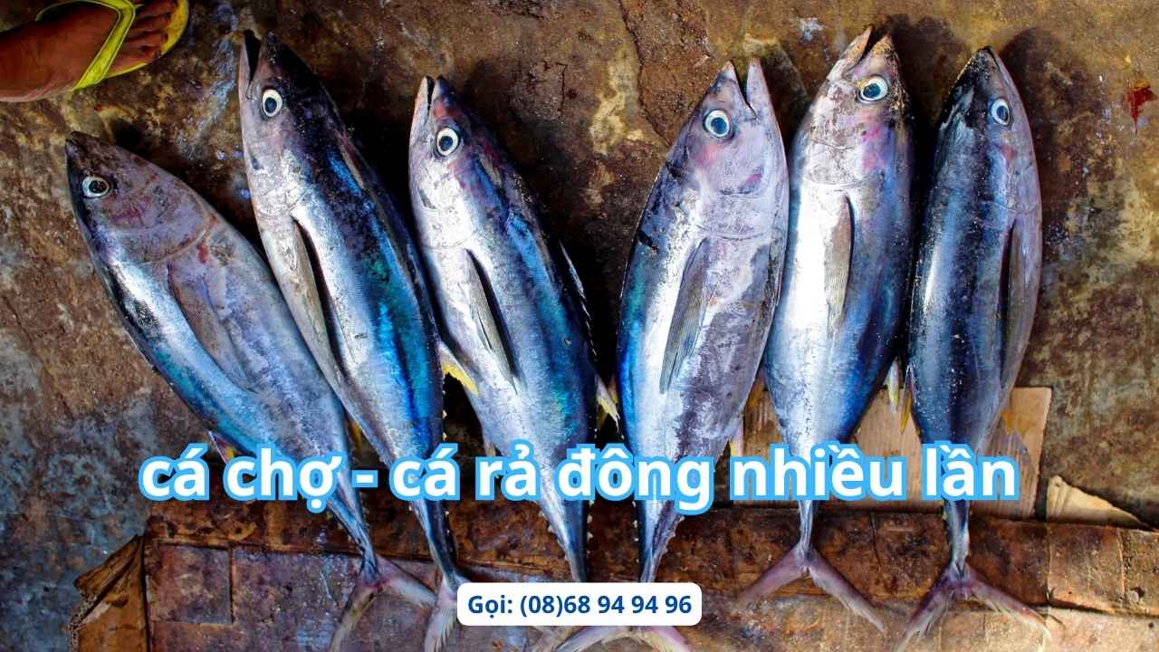 ca-ngu