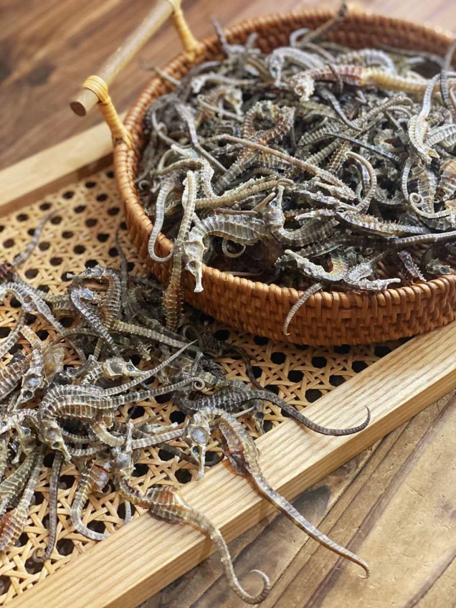 ca-ngua-kho-tai-ha-noi ca-ngua-kho-tai-ha-noi