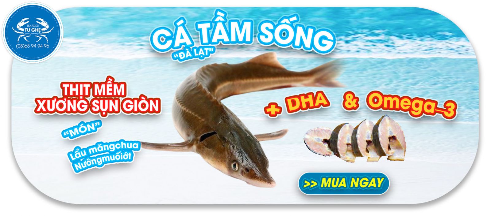 ca-tam-song