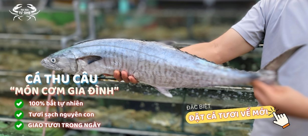 Cá thu biển tươi 2025