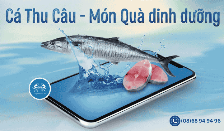 Cá thu câu biển tươi 2026