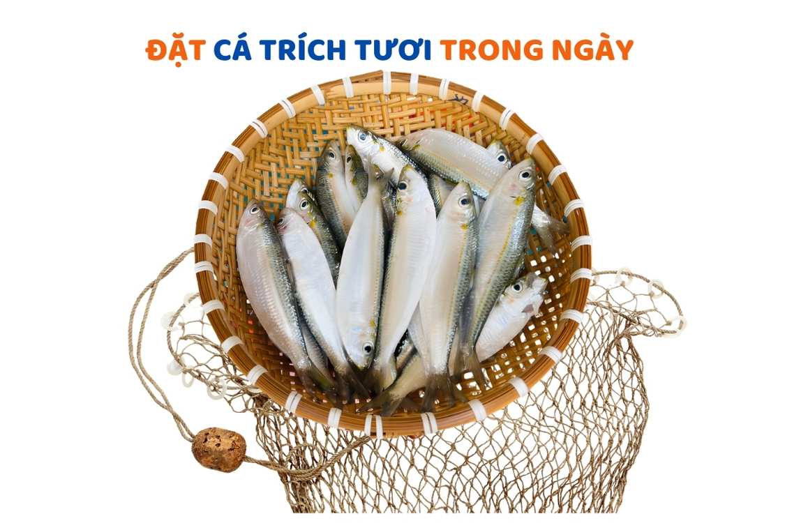 ca-trich-bien-tuoi-gia-re