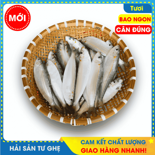 Cá Trích Tươi Làng Chài