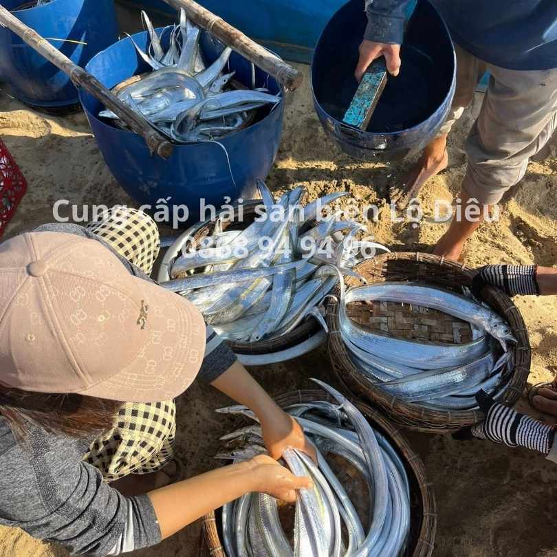 ca-tuoi-bien-lo-dieu-hoai-nhon