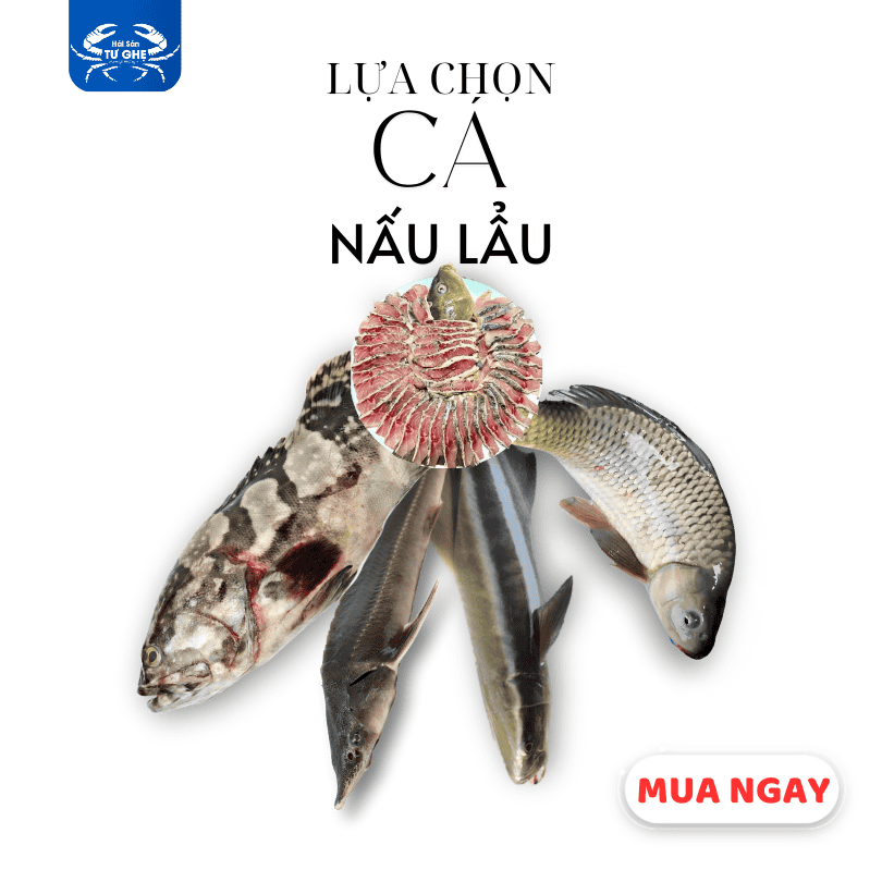 Cá sống 2025