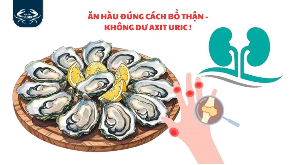 Cách ăn hàu giúp tăng cường chức năng thận, không Tăng axit uric cao