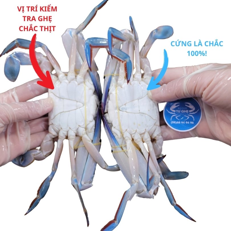 cach-bam-yem-kiem-tra-ghe-xanh-song-chac-thit