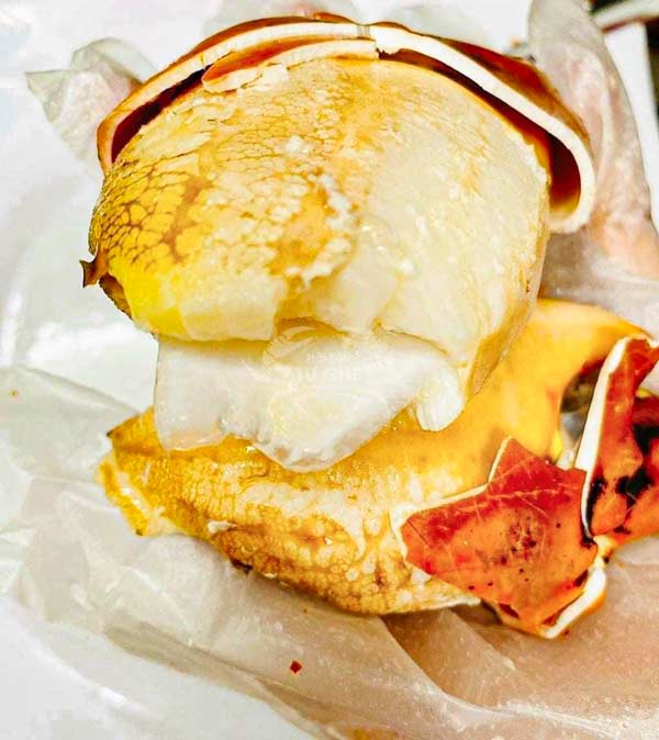 cang-cua-gach-son-chac-ngon cang-cua-gach-son-chac-ngon