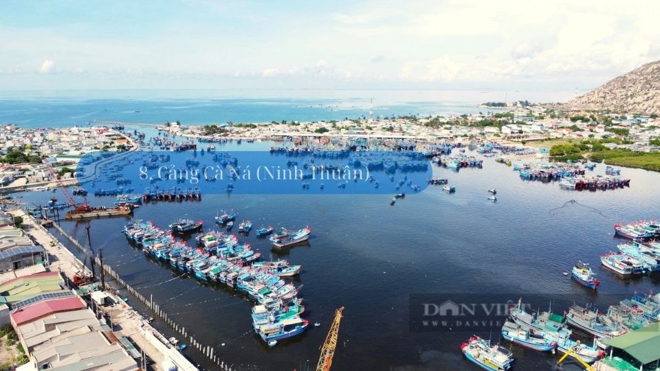 cang-hai-san-ca-na cang-hai-san-ca-na