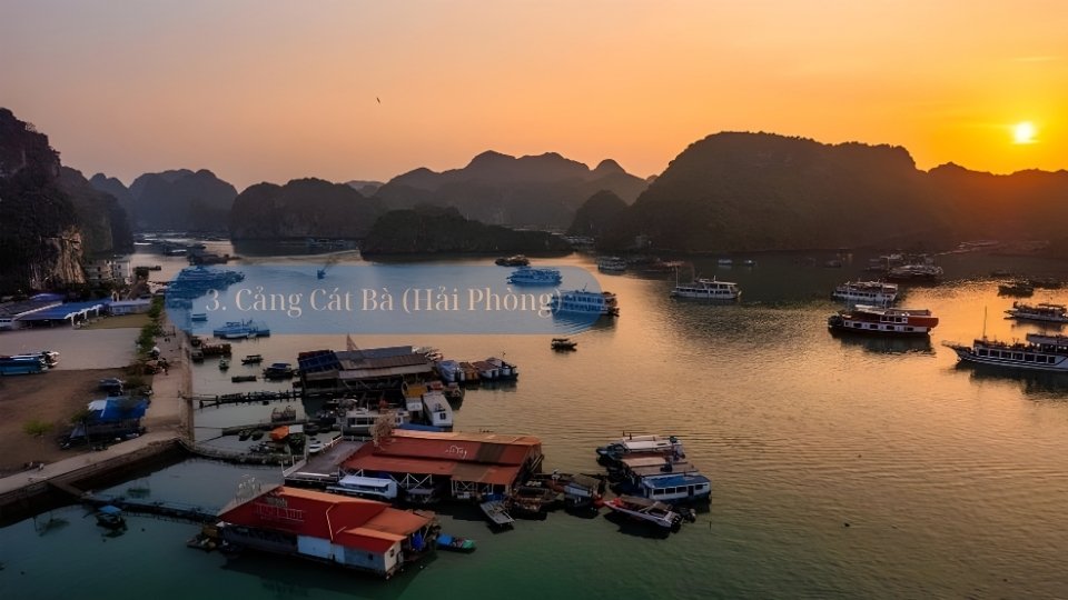 cang-hai-san-cat-ba-hai-phong cang-hai-san-cat-ba-hai-phong