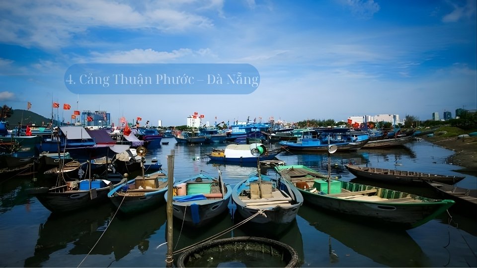 cang-hai-san-da-nang cang-hai-san-da-nang