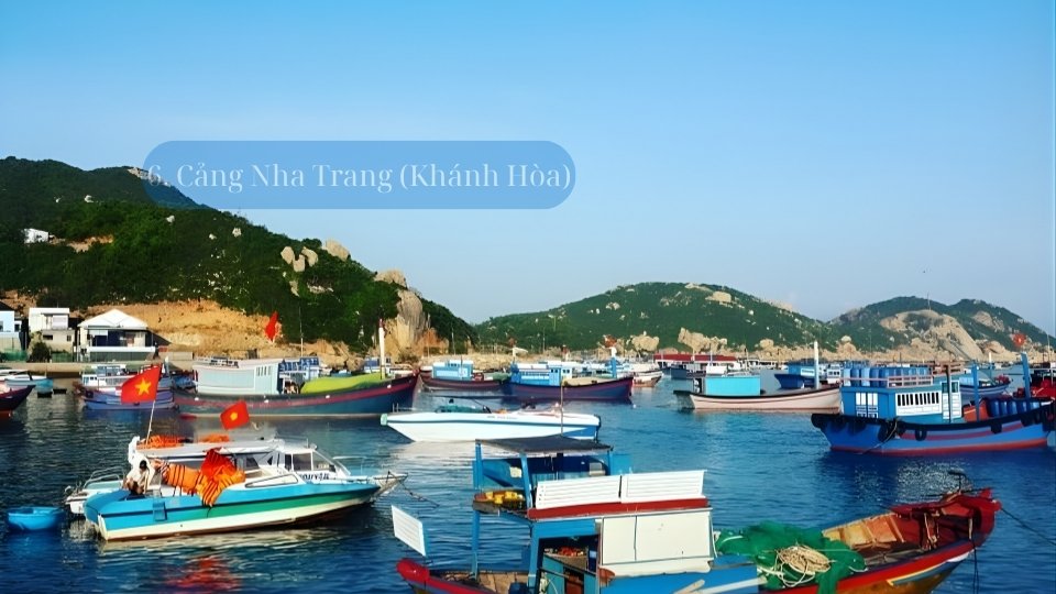 cang-hai-san-nha-trang