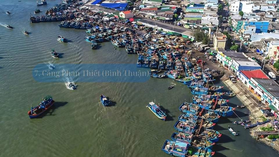 cang-hai-san-phan-thiet cang-hai-san-phan-thiet