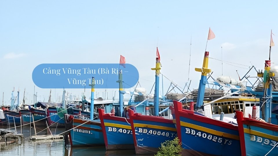 cang-hai-san-vung-tau cang-hai-san-vung-tau