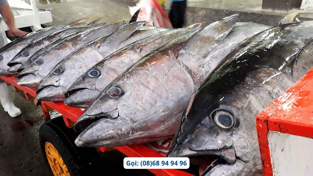 chon-ca-ngu-chuan