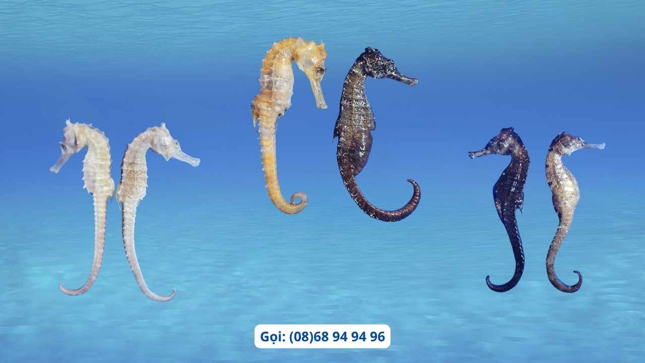 chon-ca-ngua-tu-nhien-ngam-ruou