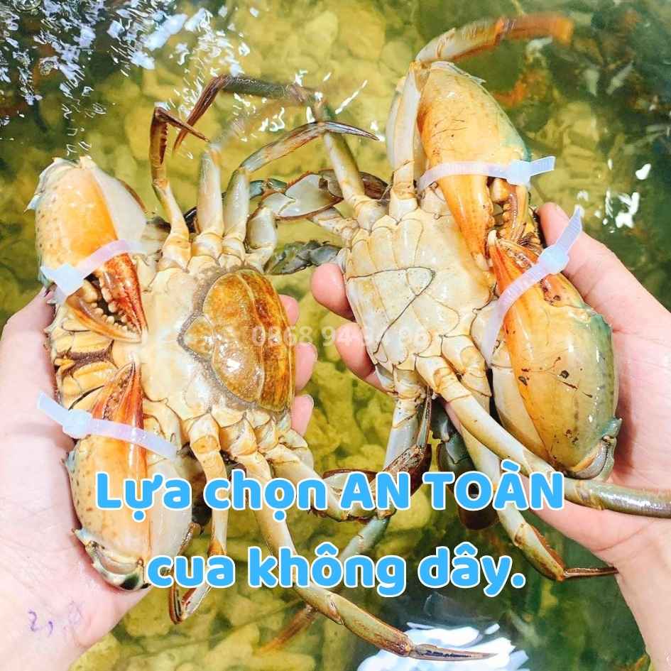 /chon-cua-khong-day-gia-tot-2026