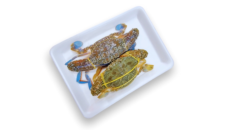 Nên chọn ghẹ đực hay ghẹ cái?