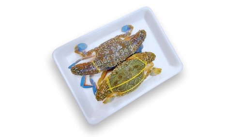 Nên chọn ghẹ đực hay ghẹ cái?