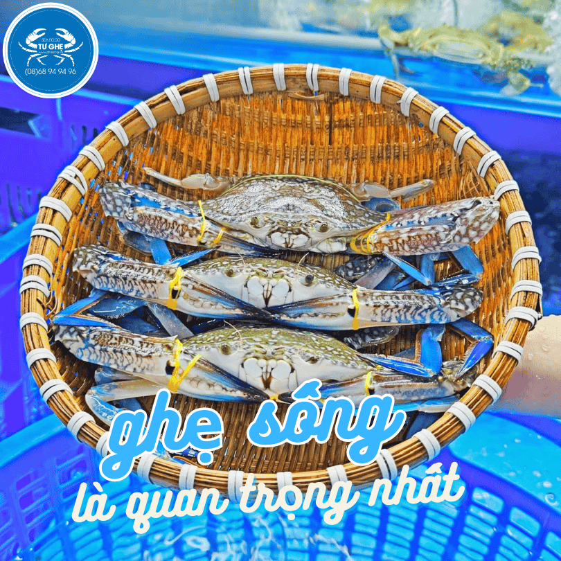 chon-mua-ghe-song-nau chon-mua-ghe-song-nau