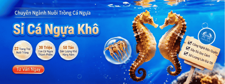 chuyen-cung-cap-ca-ngua-kho chuyen-cung-cap-ca-ngua-kho