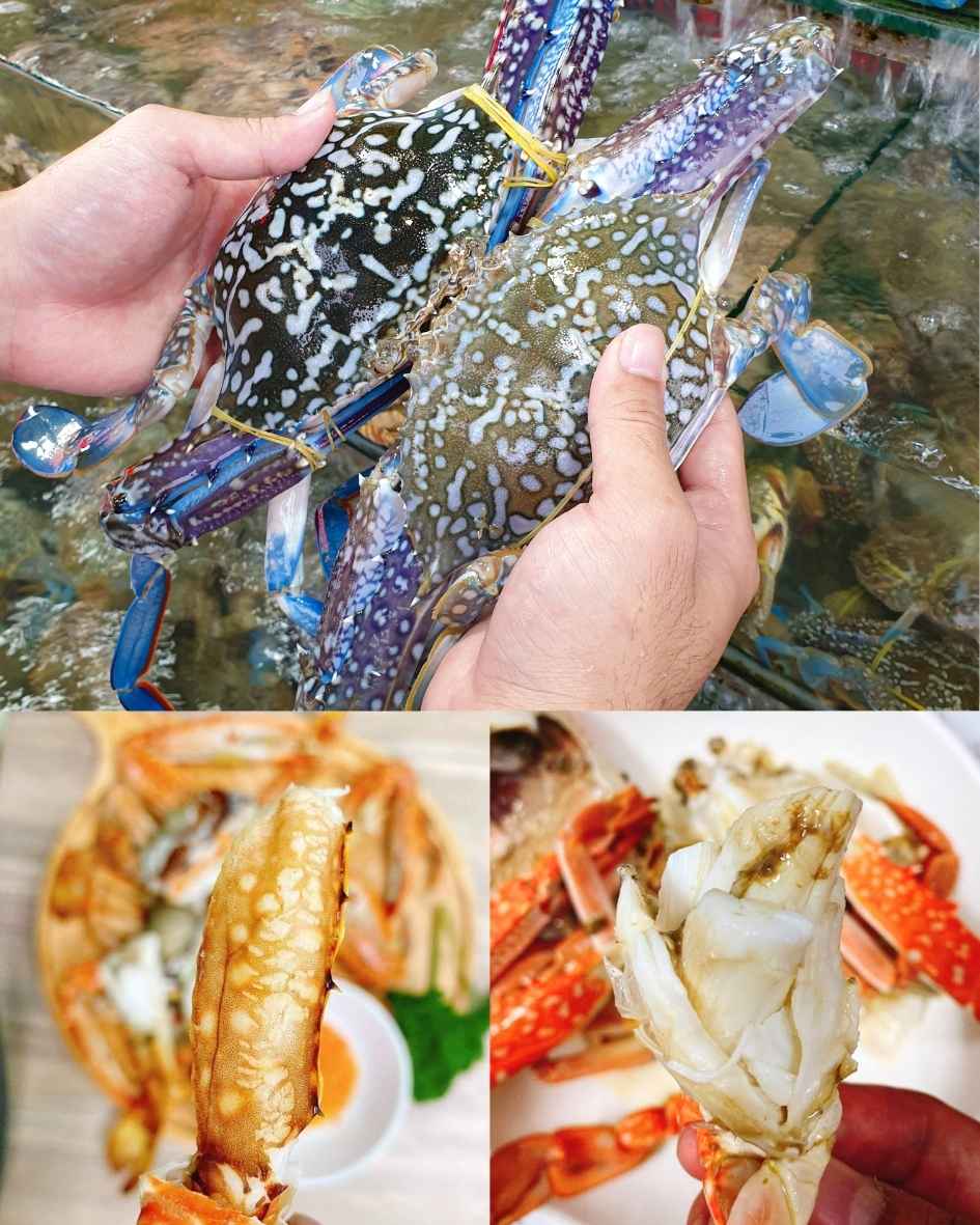 chọn-ghẹ-chắc-thịt chọn-ghẹ-chắc-thịt